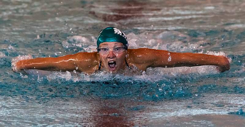 Butterfly Swimmer.jpg